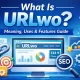 What is URLwo illustration showing link management, SEO analytics dashboard, and URL shortening features
